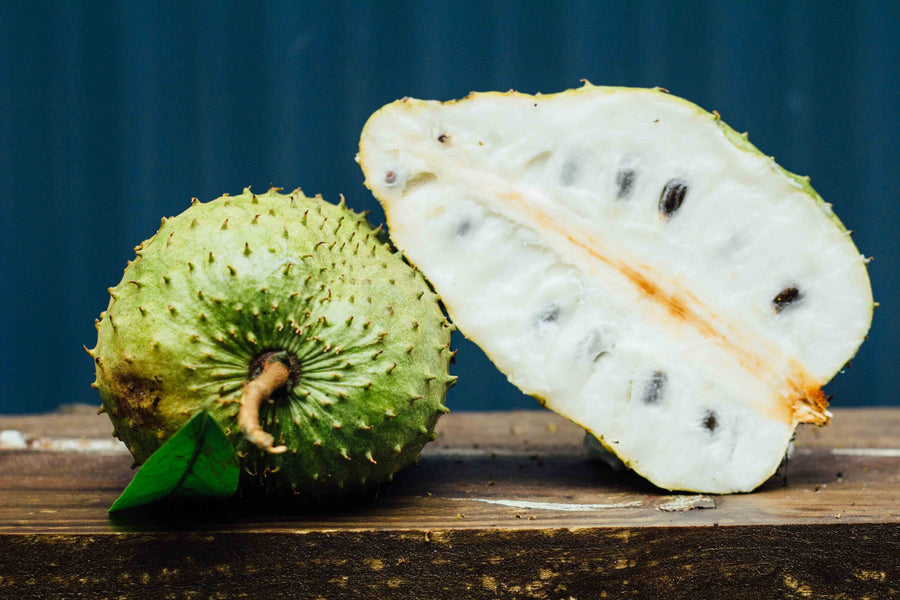 Soursop: Discover Incredible Holistic Benefits Today