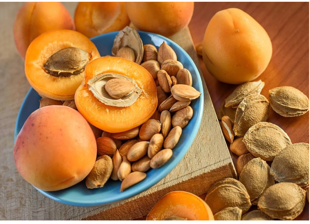 92+ Apricot Seeds